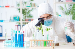 How to Become a Biochemist or Biophysicist